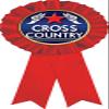 Cross Country Red Rosette Ribbon, Running Trophy Ribbon Award Prize, 50 Pack Prime view 1