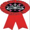 Beauty Queen Red Rosette Ribbon, Princess Tiara Pageant Trophy Ribbon Award Prize, 50 Pack Prime view 1