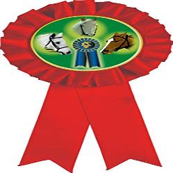 Horse Show Red Rosette Ribbon, Horse Trophy Ribbon Award Prize, 50 Pack