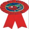 Table Tennis Red Rosette Ribbon, Table Tennis Trophy Ribbon Award Prize, 100 Pack Prime view 1