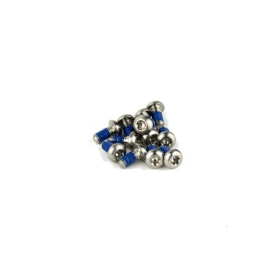 SRAM Titanium T25 Rotor Bolt Kit - Silver, Set of 12