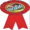 Flag Football Red Rosette Ribbon, Flag Football Trophy Ribbon Award Prize, 50 Pack Prime view 1