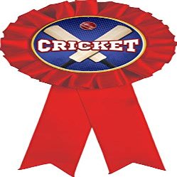 Cricket Red Rosette Ribbon, Cricket Trophy Ribbon Award Prize, 50 Pack Prime