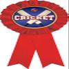 Cricket Red Rosette Ribbon, Cricket Trophy Ribbon Award Prize, 50 Pack Prime view 1