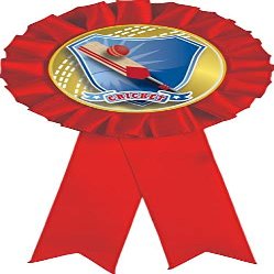 Cricket Red Rosette Ribbon, Cricket Bat Trophy Ribbon Award Prize, 50 Pack Prime