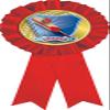 Cricket Red Rosette Ribbon, Cricket Bat Trophy Ribbon Award Prize, 50 Pack Prime view 1