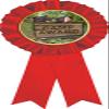 Camp Red Rosette Ribbon, Camp Award Medal, 50 Pack Prime view 1