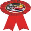 B Honor Roll Red Rosette Ribbon, Honor Roll Trophy Ribbon Award Prize, 50 Pack Prime view 1