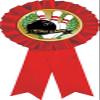 High Game Red Rosette Ribbon, High Game Bowling Trophy Ribbon Award Prize, 50 Pack Prime view 1