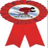 Alpine Ski Racing Red Rosette Ribbon, Downhill Skiing Trophy Ribbon Award Prize, 50 Pack Prime view 1