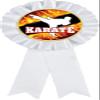 Karate White Rosette Ribbon Award, Karate Martial Arts Trophy Ribbon Prize, 50 Pack Prime view 1