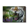 College Wall Art LSU Tigers - Mike The Tiger view 1