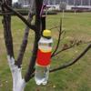 BESPORTBLE Silicone Keychain 5Pcs Silicone Bottle Buckle Practical Hanging Holder Clip Keychain Carabiner for Outdoor Activities Bike Camping Hiking Daily Use (Random Color) view 4