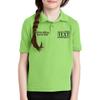 Custom Embroidered Polo Shirts for Youth Personalized Add Your Text Name Design Lime view 4