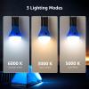 Lepro LED Camping Lantern, Camping Essentials, 3 Lighting Modes, Hanging Tent Light Bulbs with Clip Hook for Camping, Hiking, Hurricane, Storms, Outages, Collapsible, Batteries Included, 4 Packs view 2