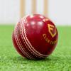 FORTRESS Club Crown Cricket Balls - MCC White/Red/Pink Ball Colours (Junior, Red (Pack of 6)) view 1