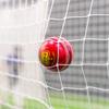 FORTRESS Club Crown Cricket Balls - MCC White/Red/Pink Ball Colours (Junior, Red (Pack of 6)) view 3
