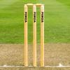 FORTRESS Wooden Cricket Stumps [ICC Regulation]  Professional Timber Stumps for Competitive Cricket (County Stumps (Pro), Senior (28in)) view 1