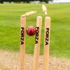 FORTRESS Wooden Cricket Stumps [ICC Regulation]  Professional Timber Stumps for Competitive Cricket (County Stumps (Pro), Senior (28in)) view 4