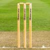 FORTRESS Wooden Cricket Stumps [ICC Regulation]  Professional Timber Stumps for Competitive Cricket (Club Stumps, Senior (28in)) view 1