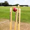 FORTRESS Wooden Cricket Stumps [ICC Regulation]  Professional Timber Stumps for Competitive Cricket (Club Stumps, Senior (28in)) view 2