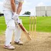 FORTRESS Wooden Cricket Stumps [ICC Regulation]  Professional Timber Stumps for Competitive Cricket (Club Stumps, Senior (28in)) view 3