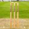 FORTRESS Wooden Cricket Stumps [ICC Regulation]  Professional Timber Stumps for Competitive Cricket (County Stumps (Pro), Junior (27in)) view 1