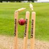 FORTRESS Wooden Cricket Stumps [ICC Regulation]  Professional Timber Stumps for Competitive Cricket (County Stumps (Pro), Junior (27in)) view 2