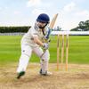FORTRESS Wooden Cricket Stumps [ICC Regulation]  Professional Timber Stumps for Competitive Cricket (County Stumps (Pro), Junior (27in)) view 3