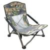 Phantom Turkey Chair view 1