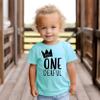 Mr One-Derful 1st Birthday Shirt for Baby Boys - Chill Short Sleeve view 3