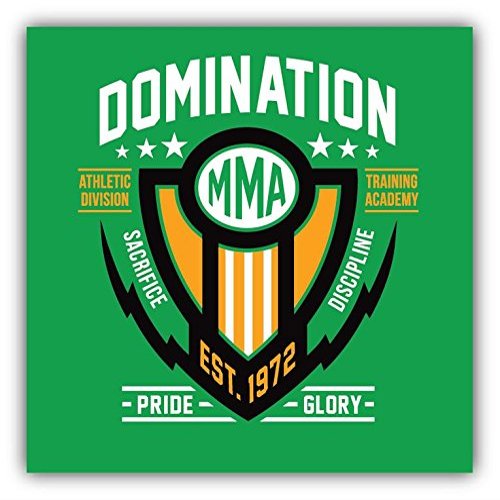 Zirni Domination Mixed Martial Arts Fight Academy Sticker Decal Design