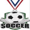 2" Bronze Shiny Captain Soccor Medals, Great Soccor Trophy Award Medal with Free Neck Ribbon, 100 Pack Prime view 1