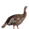 Avian X HDR Hen Turkey Decoy view 2