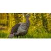 Avian X HDR Hen Turkey Decoy view 3