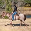 Cashel Felt Saddle Pad 3/4in Grey view 2
