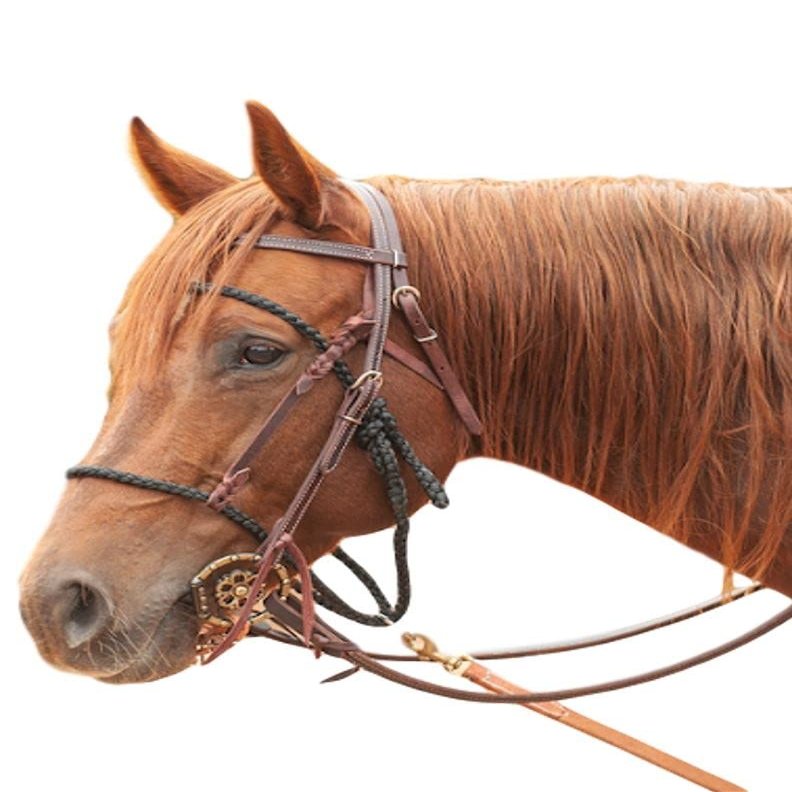 Martin Saddlery Bonnet Tie Down