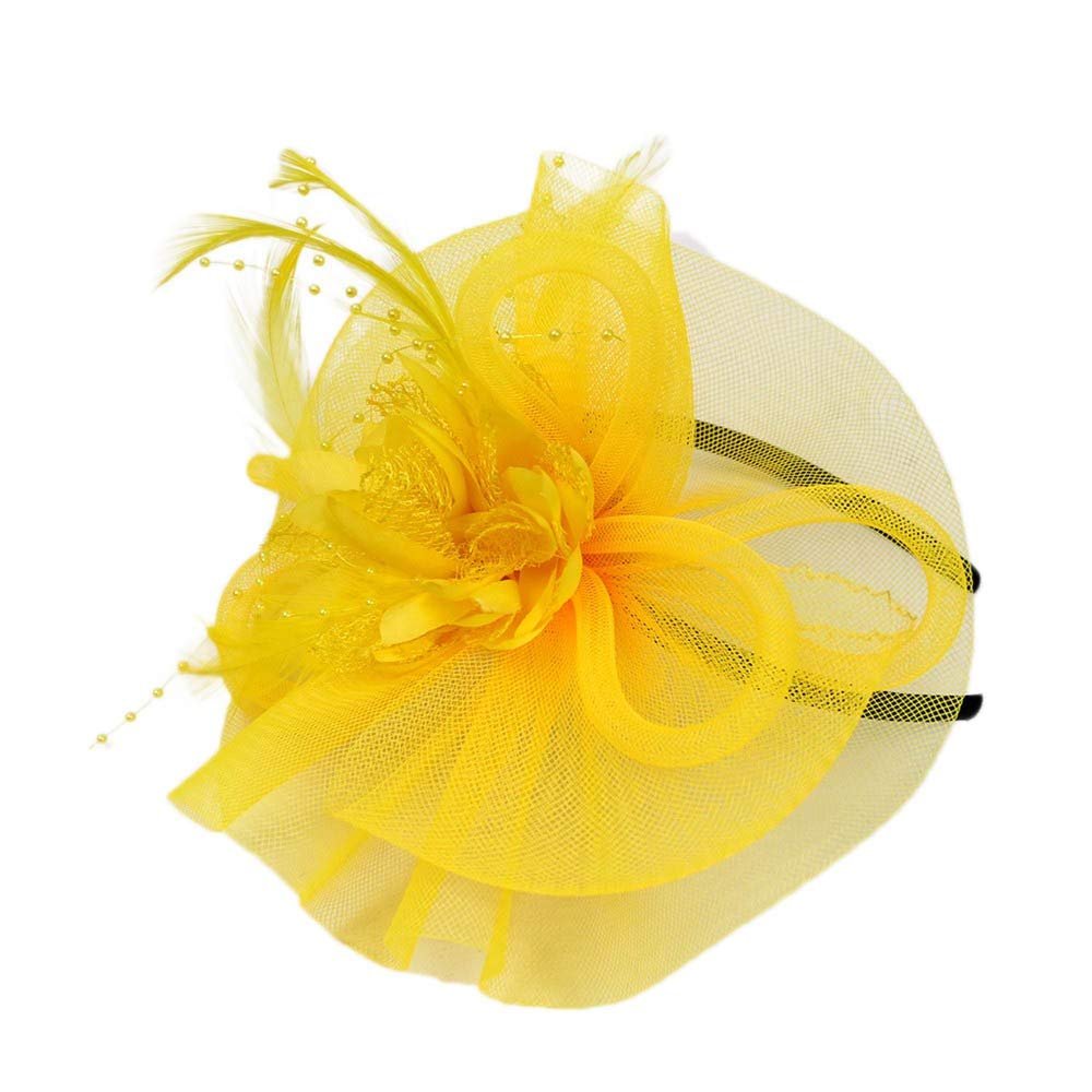 BCDlily Bridal Headpiece Headband Fascinators Hat Women Tea Party Derby Wedding Cocktail Flower Mesh Feathers Hair Accessory
