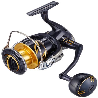 SHIMANO 20 Stella SW 6000HG