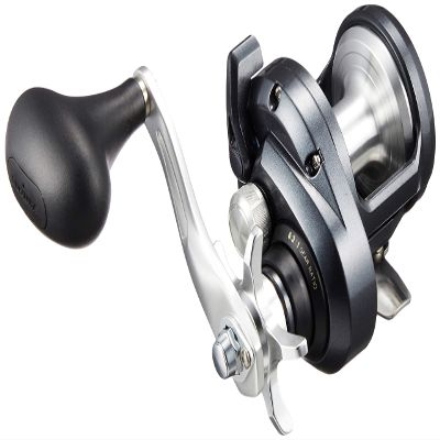 Shimano Bait Reel 20 Thorium 1500HG (Right) Jigging for Beginners