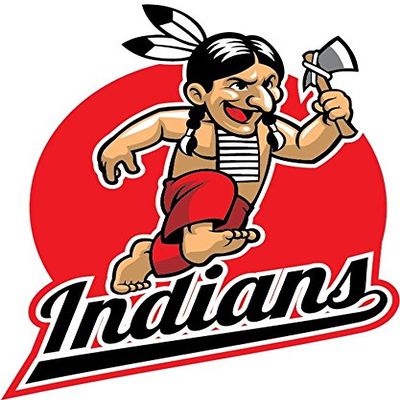 Zirni Cartoon Native Indian Mascot Sticker Decal Design