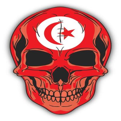 Zirni Skull Flag Tunisia and Tobago Sticker Decal Design