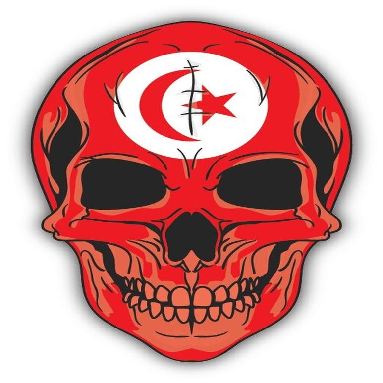 Zirni Skull Flag Tunisia and Tobago Sticker Decal Design