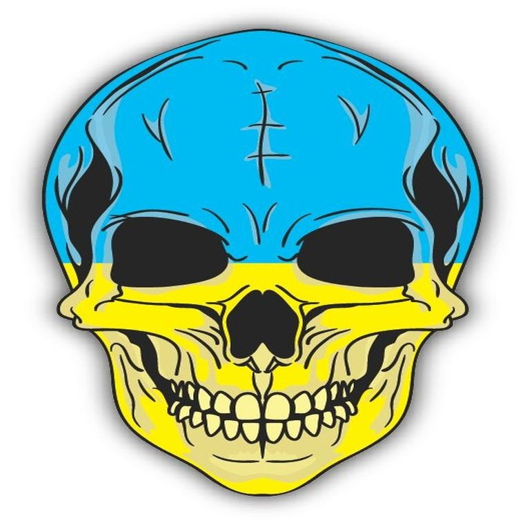 Zirni Skull Flag Ukraine Sticker Decal Design