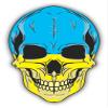 Zirni Skull Flag Ukraine Sticker Decal Design