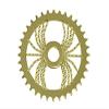 Bike LOWRIDER Spider Twisted Steel Chainring 1/2 X 1/8 36T Gold.Bicycle Chainring view 1