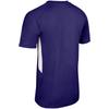 Champro Women's Standard Check Fastpitch Softball Jersey, Purple, White, Medium view 2