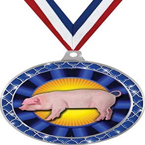 Blue Hog Blue Trellis Medal Silver, 2.5" Hog Rosette Prizes, Kids Animal Trophy Medal Awards 100 Pack Prime
