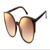 Circus NY by Sam Edelman Women's CC379 Oversized Cat Eye Sunglasses with UV400 Protection - Trendy Gifts for Her, 59.5mm view 1
