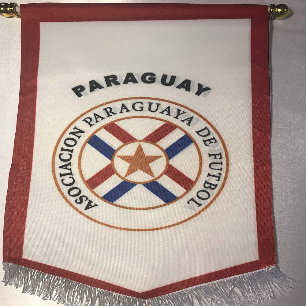 Paraguay Flag (Hanging Type)